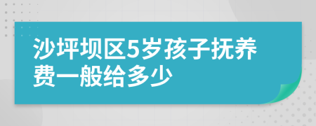 沙坪坝区5岁孩子抚养费一般给多少