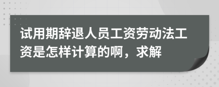 试用期辞退人员工资劳动法工资是怎样计算的啊，求解