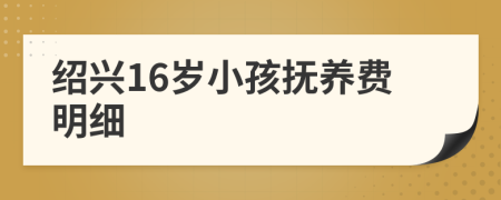 绍兴16岁小孩抚养费明细