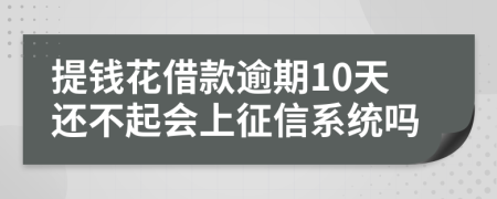 提钱花借款逾期10天还不起会上征信系统吗