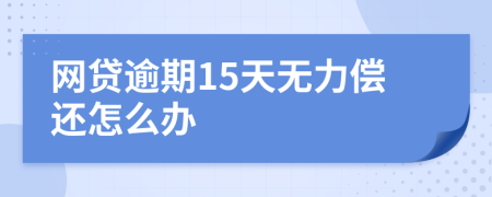 网贷逾期15天无力偿还怎么办