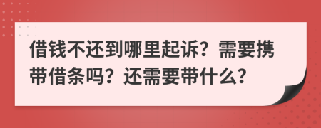 借钱不还到哪里起诉？需要携带借条吗？还需要带什么？