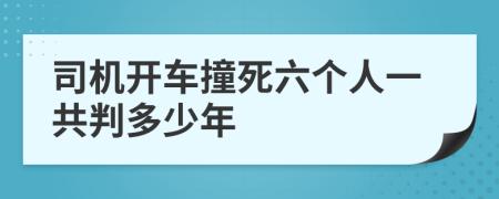 司机开车撞死六个人一共判多少年