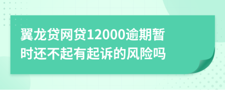 翼龙贷网贷12000逾期暂时还不起有起诉的风险吗