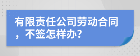 有限责任公司劳动合同，不签怎样办？