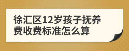 徐汇区12岁孩子抚养费收费标准怎么算