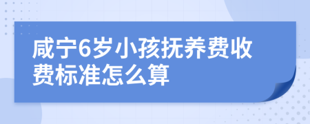 咸宁6岁小孩抚养费收费标准怎么算