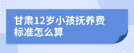 甘肃12岁小孩抚养费标准怎么算