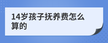 14岁孩子抚养费怎么算的