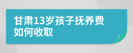 甘肃13岁孩子抚养费如何收取