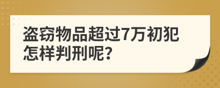 盗窃物品超过7万初犯怎样判刑呢？