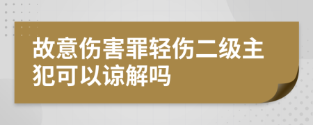 故意伤害罪轻伤二级主犯可以谅解吗