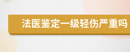 法医鉴定一级轻伤严重吗