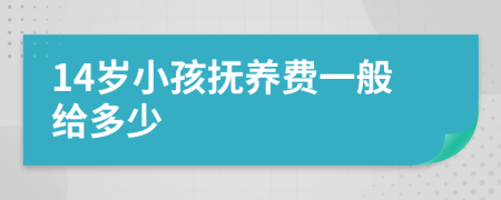 14岁小孩抚养费一般给多少