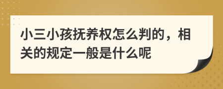 小三小孩抚养权怎么判的，相关的规定一般是什么呢