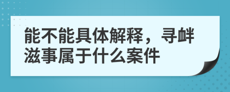 能不能具体解释，寻衅滋事属于什么案件