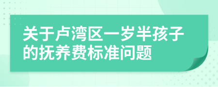 关于卢湾区一岁半孩子的抚养费标准问题