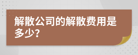 解散公司的解散费用是多少？