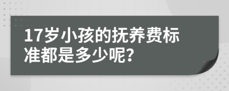 17岁小孩的抚养费标准都是多少呢？