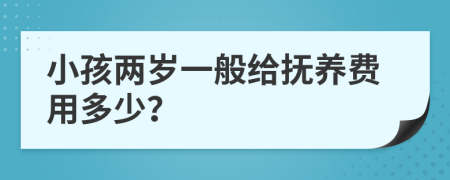 小孩两岁一般给抚养费用多少？