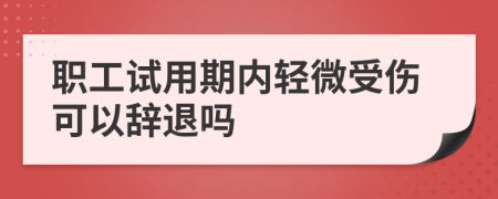 职工试用期内轻微受伤可以辞退吗