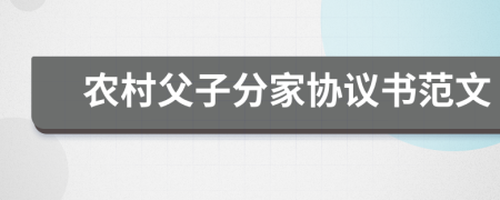 农村父子分家协议书范文