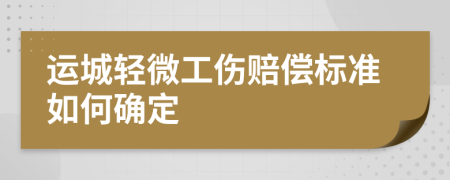 运城轻微工伤赔偿标准如何确定