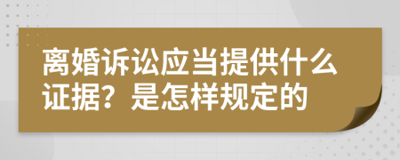 离婚诉讼应当提供什么证据？是怎样规定的