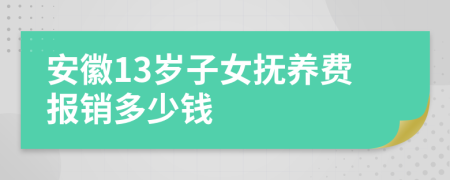 安徽13岁子女抚养费报销多少钱