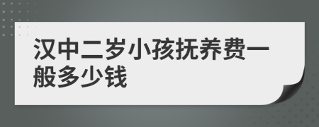 汉中二岁小孩抚养费一般多少钱