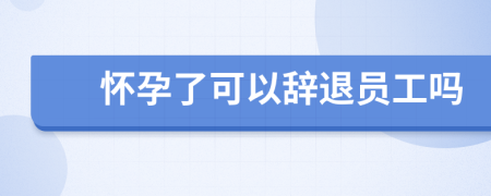 怀孕了可以辞退员工吗