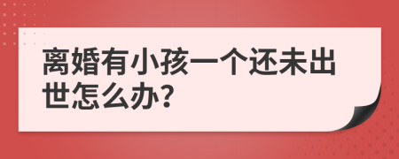 离婚有小孩一个还未出世怎么办？