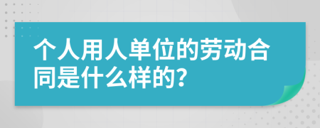 个人用人单位的劳动合同是什么样的？