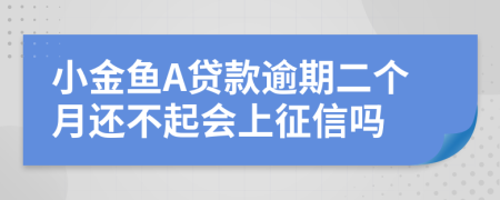 小金鱼A贷款逾期二个月还不起会上征信吗