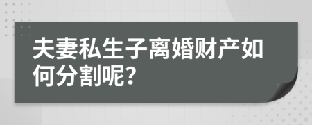 夫妻私生子离婚财产如何分割呢？