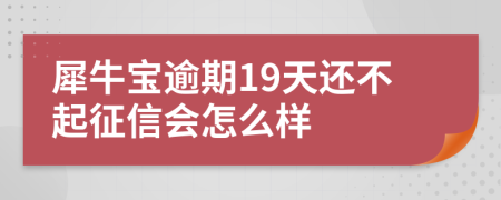 犀牛宝逾期19天还不起征信会怎么样