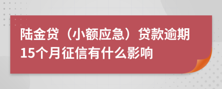 陆金贷（小额应急）贷款逾期15个月征信有什么影响