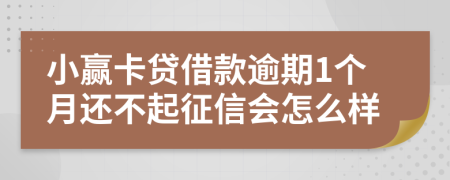 小赢卡贷借款逾期1个月还不起征信会怎么样