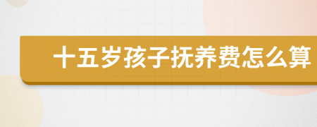 十五岁孩子抚养费怎么算