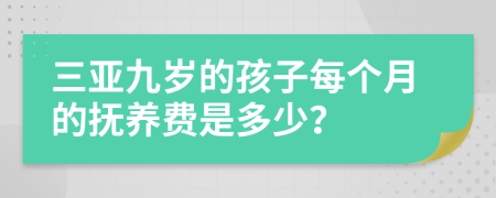 三亚九岁的孩子每个月的抚养费是多少？