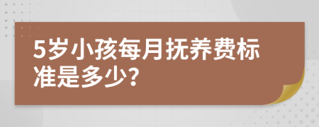 5岁小孩每月抚养费标准是多少？