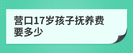 营口17岁孩子抚养费要多少