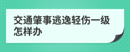 交通肇事逃逸轻伤一级怎样办