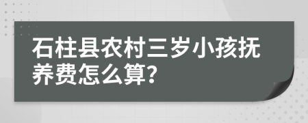 石柱县农村三岁小孩抚养费怎么算？