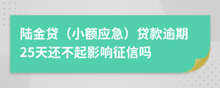 陆金贷（小额应急）贷款逾期25天还不起影响征信吗