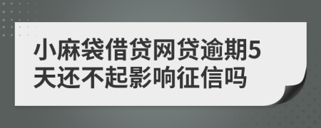 小麻袋借贷网贷逾期5天还不起影响征信吗