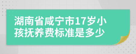 湖南省咸宁市17岁小孩抚养费标准是多少