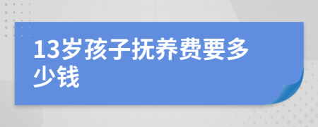 13岁孩子抚养费要多少钱
