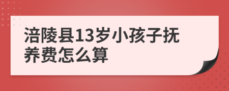 涪陵县13岁小孩子抚养费怎么算