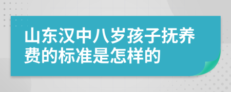 山东汉中八岁孩子抚养费的标准是怎样的